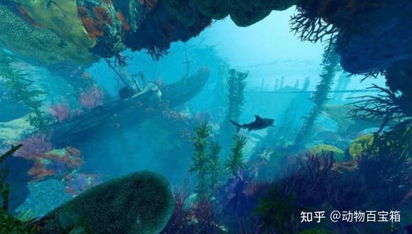 95的生物都生活在海里，海到底有多深？人类在深海都发现了什么 知乎