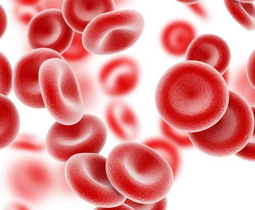 什么是造血干细胞移植？ 知乎