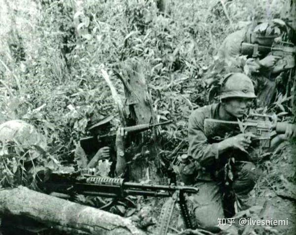 游走世界之虎大韩民国海外派兵简要 知乎