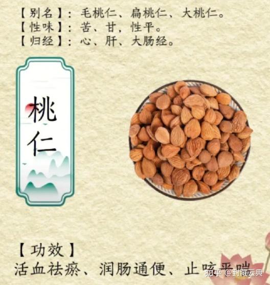 桃仁 - 知乎