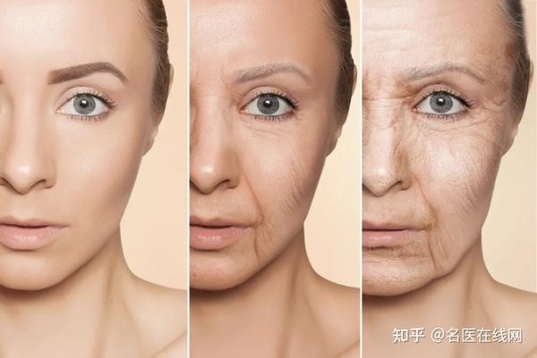 衰老不光看年龄!身体出现4个表现,说明你在变老了 - 知乎