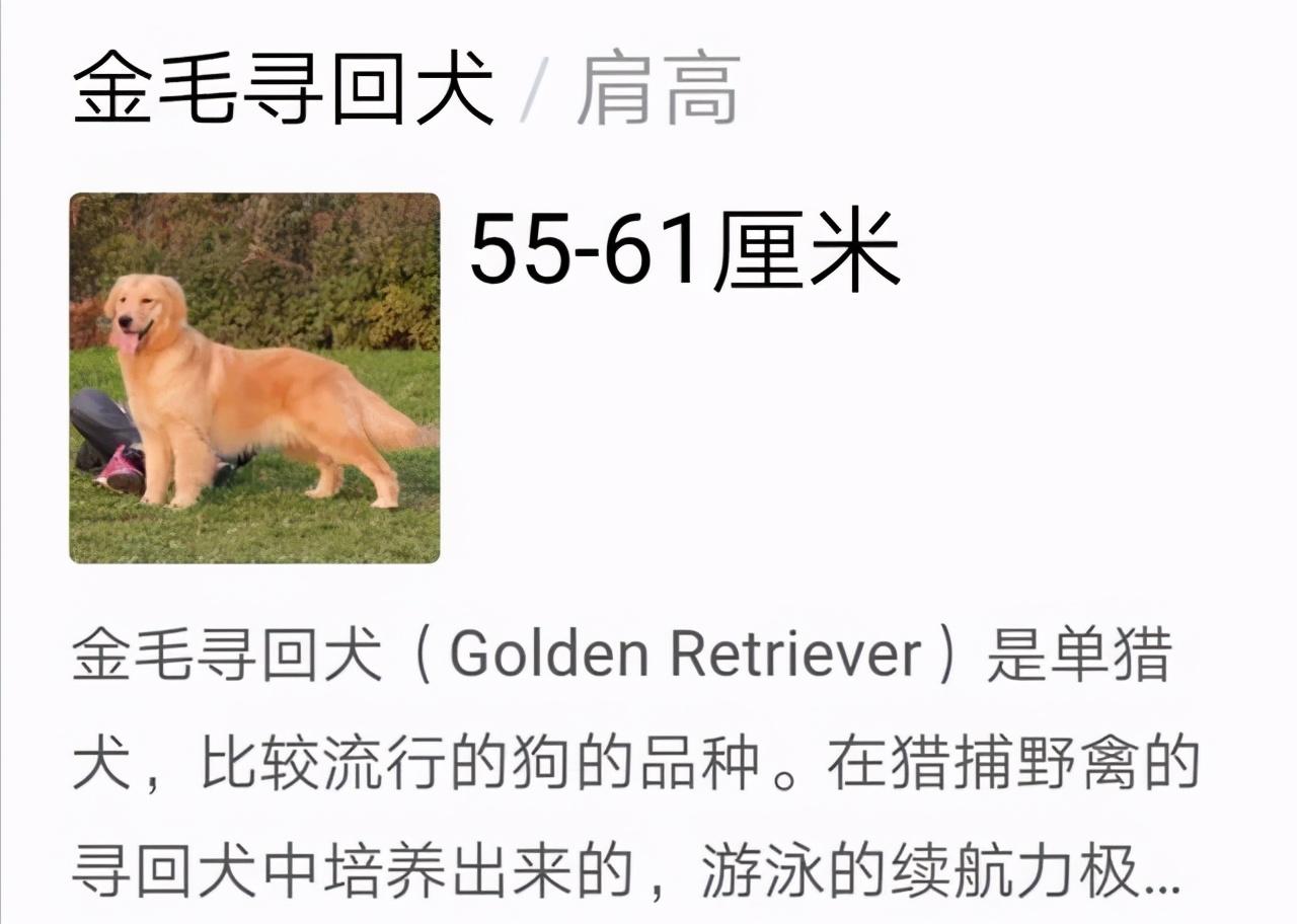 v2-27fa41050478b81948ac7fc587a3d14d_r.jpg