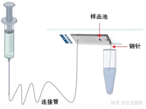 单细胞操纵与分选丨微生物单细胞光镊分选及培养 - 知乎