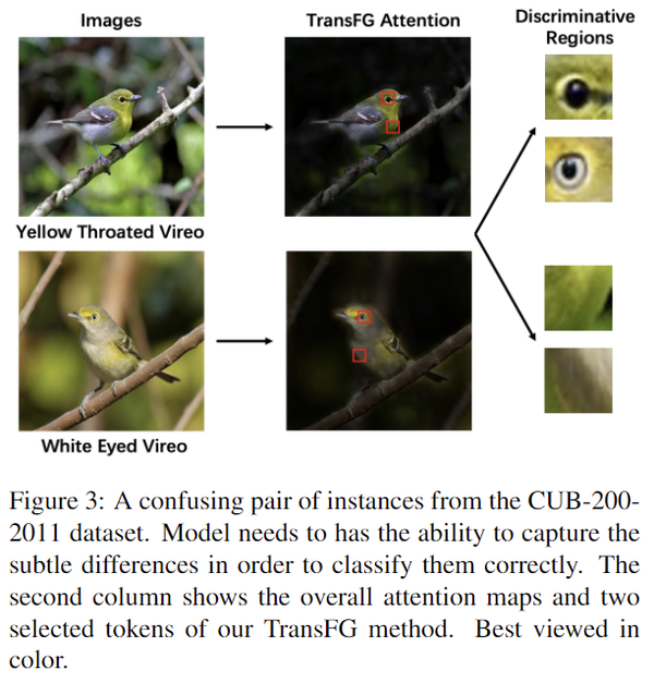 【论文阅读】《TransFG A Transformer Architecture for Finegrained Recognition