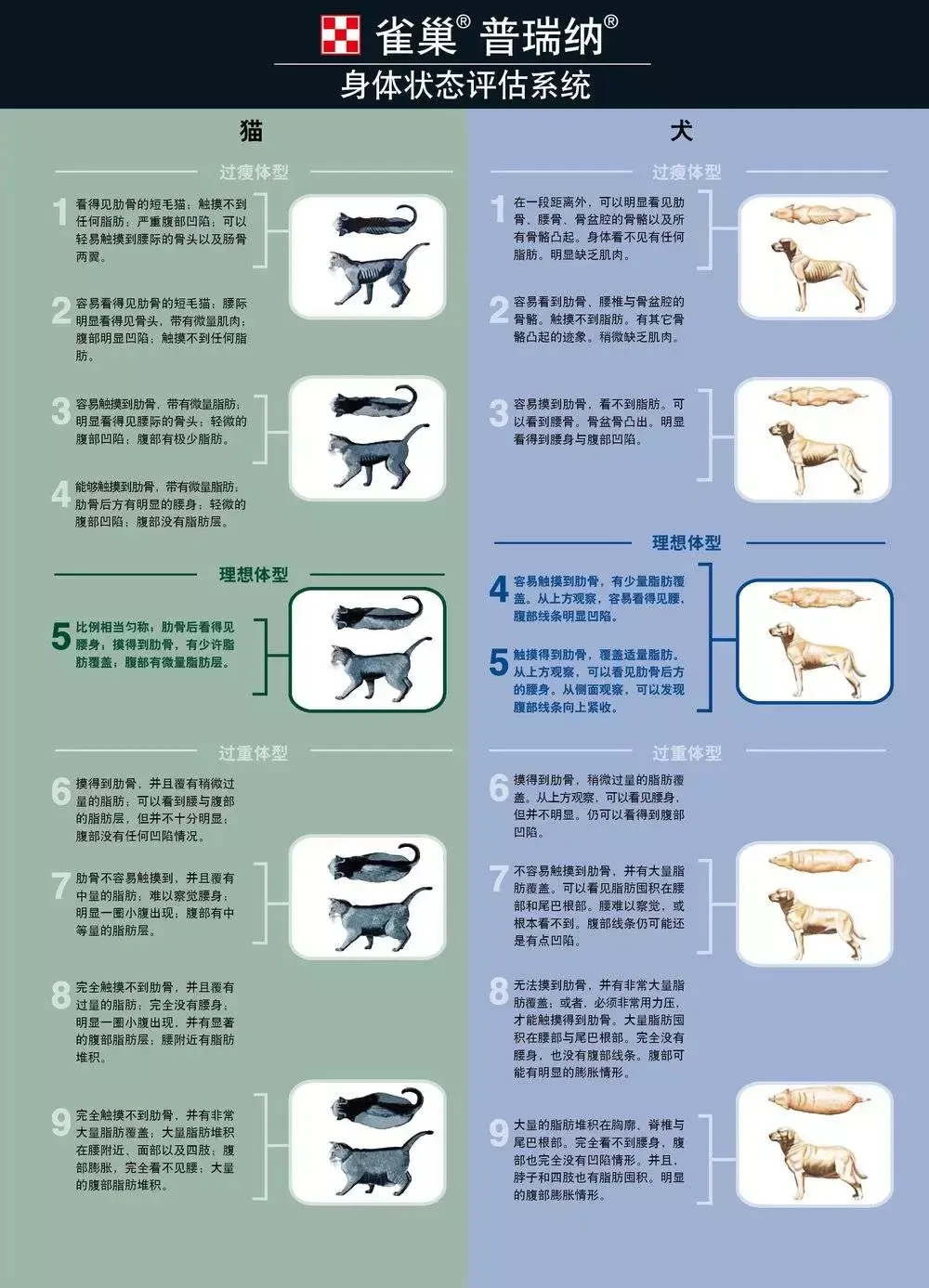 千亿宠物市场掘金靠什么取胜