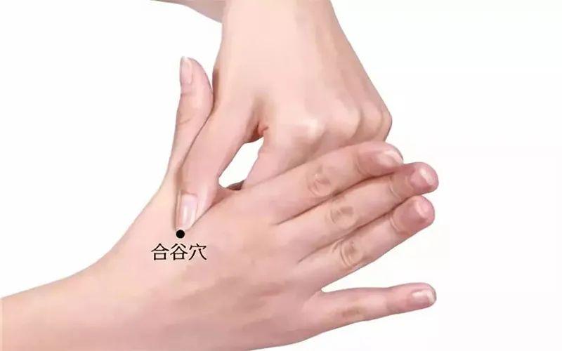 下合穴 zhuanlan.zhihu.com
