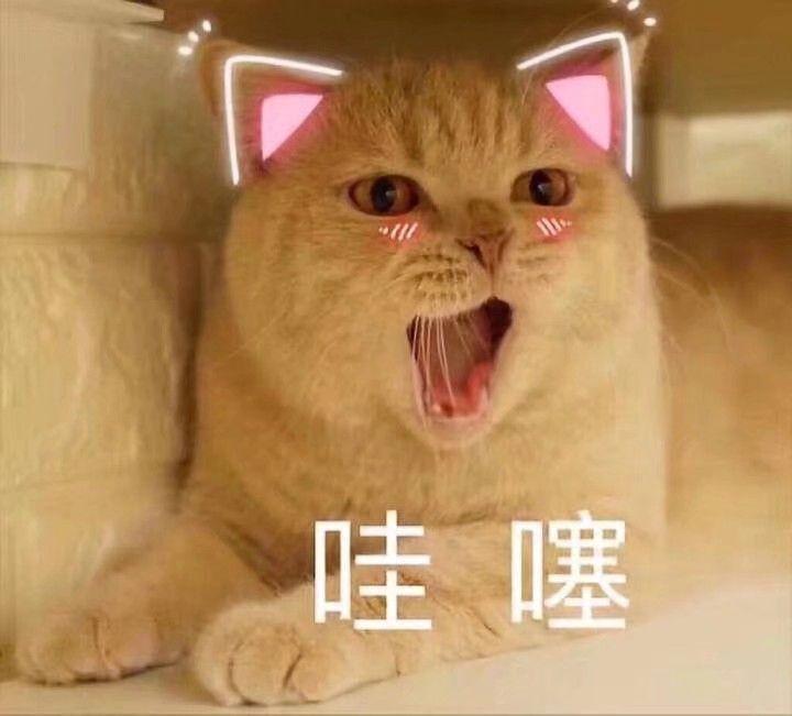 有哪些让你惊艳到的名字?