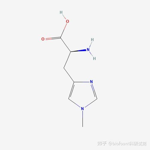 1-甲基-L-组氨酸;非蛋白氨基酸 - 知乎
