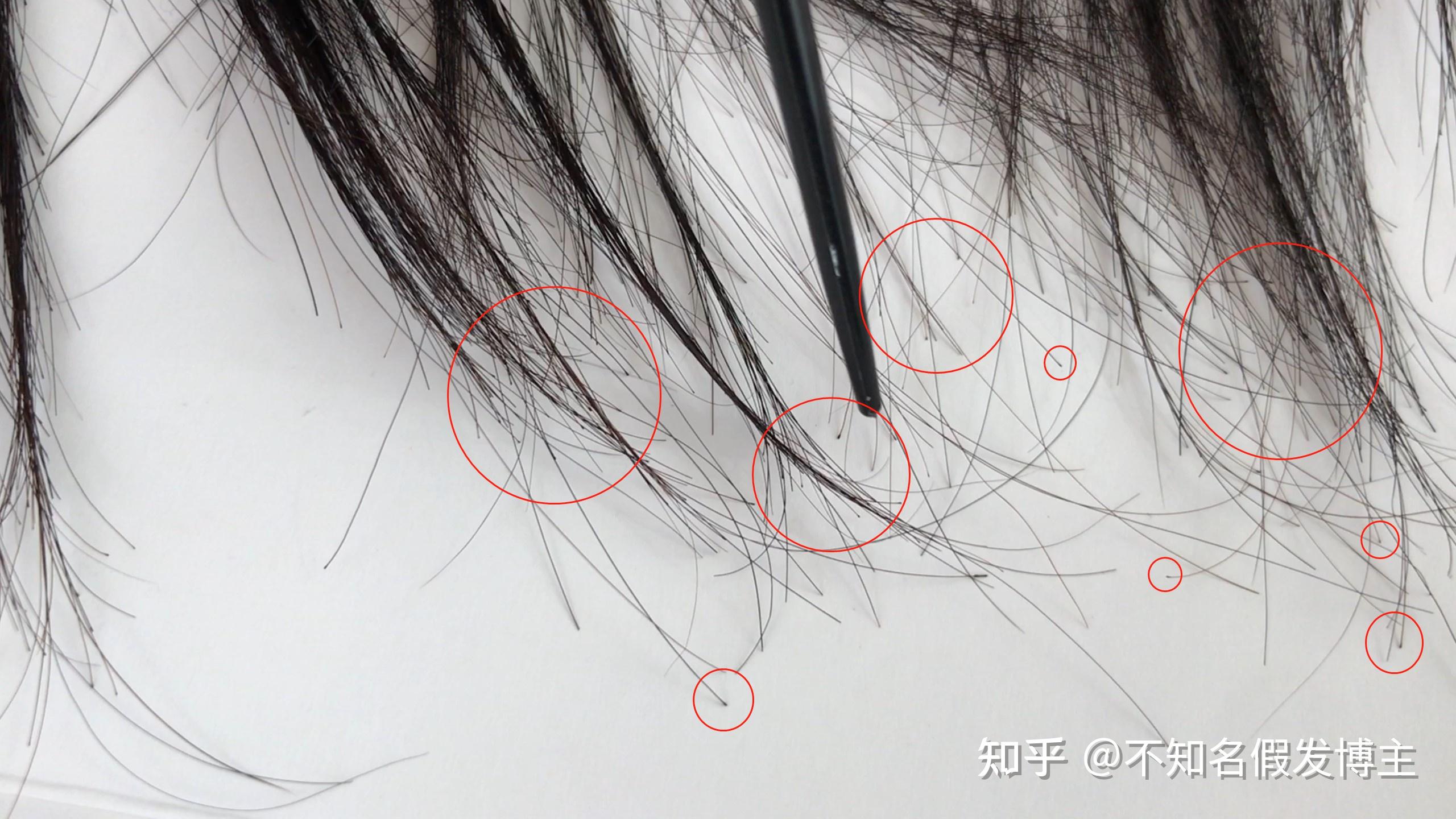 三,看发尾头发粗细辫子发是顺着毛鳞片钩织的,钩织的时候头尾不颠倒