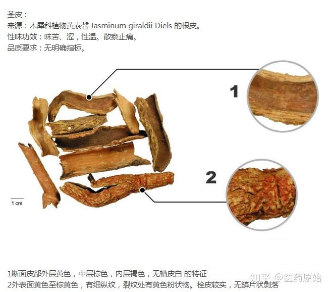 地骨皮地骨皮与荃皮图文鉴别左:地骨皮  中:香加皮  右:荃皮从颜色上