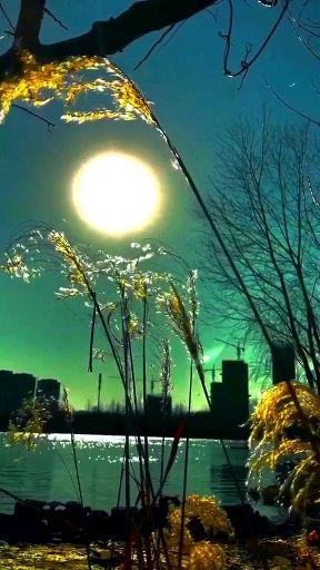 一个轮回的对视,我曾是你,你终会是我