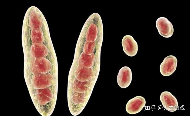 在穿鞋袜的时候,你记得要用特比萘芬酊剂(水剂),喷在你的鞋里面,或者