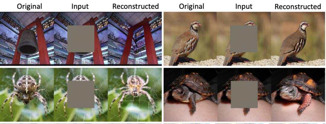 CVPR 2023 | 超越MAE！谷歌提出MAGE：图像分类和生成达到SOTA！ - 知乎