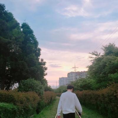 汤姆7号