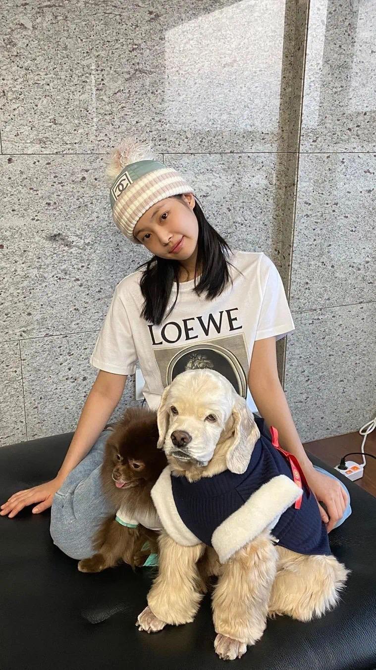 手机壁纸|BLACKPINK高清壁纸  知乎 手机壁纸|BLACKPINK高清壁纸  知乎