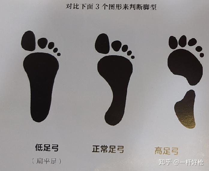 2,足弓类型.3,脚型.