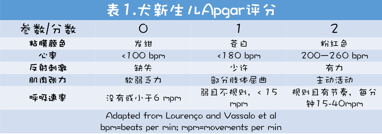 新生儿小猫活力常规评估的主题:Apgar评分、反射和补充评估 - 知乎