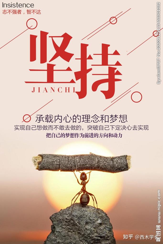 你是否还在坚持你的坚持