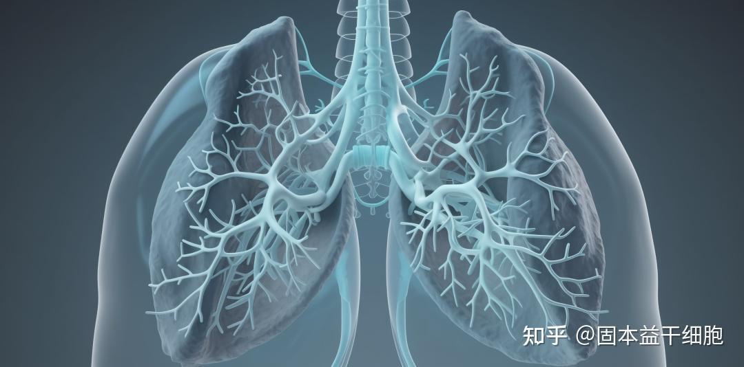干细胞注射液获批IND,适应症为自身免疫性肺泡蛋白沉积症 - 知乎