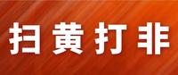 上半年掃黃打非辦受理舉報14萬件發放舉報獎金103萬