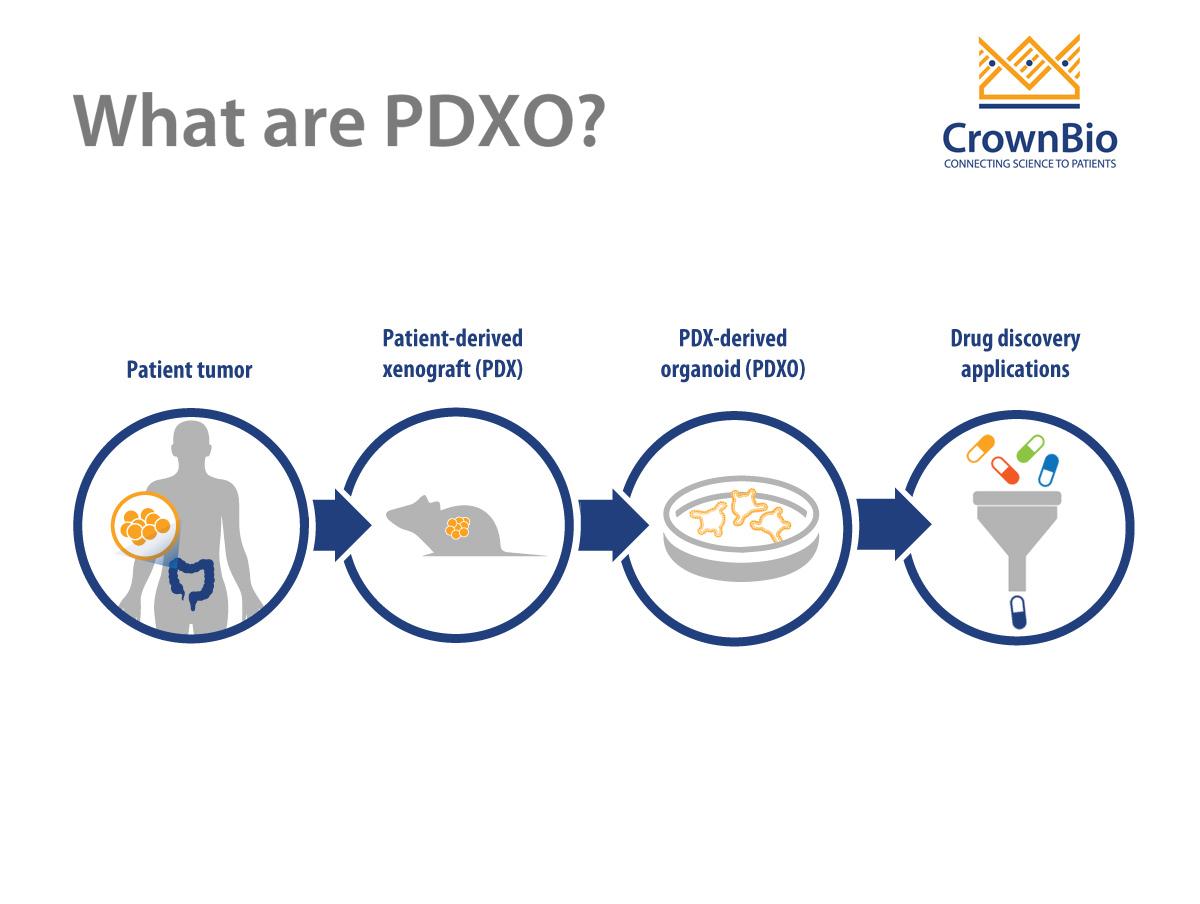 pdx-pdo-pdxo