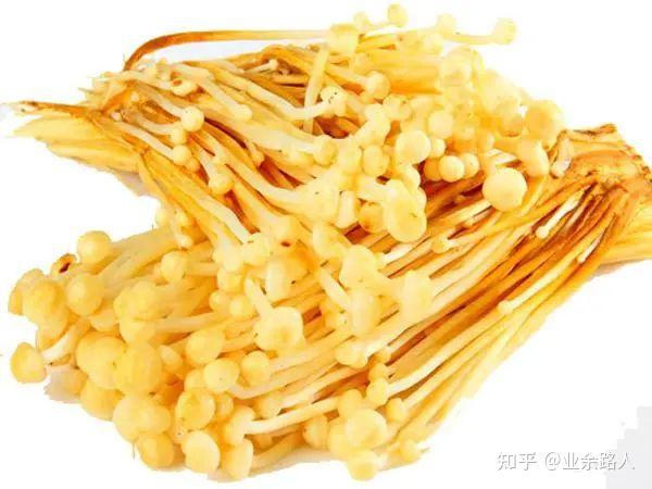 所以我们吃的都不算真正的金针菇吗? - 知乎