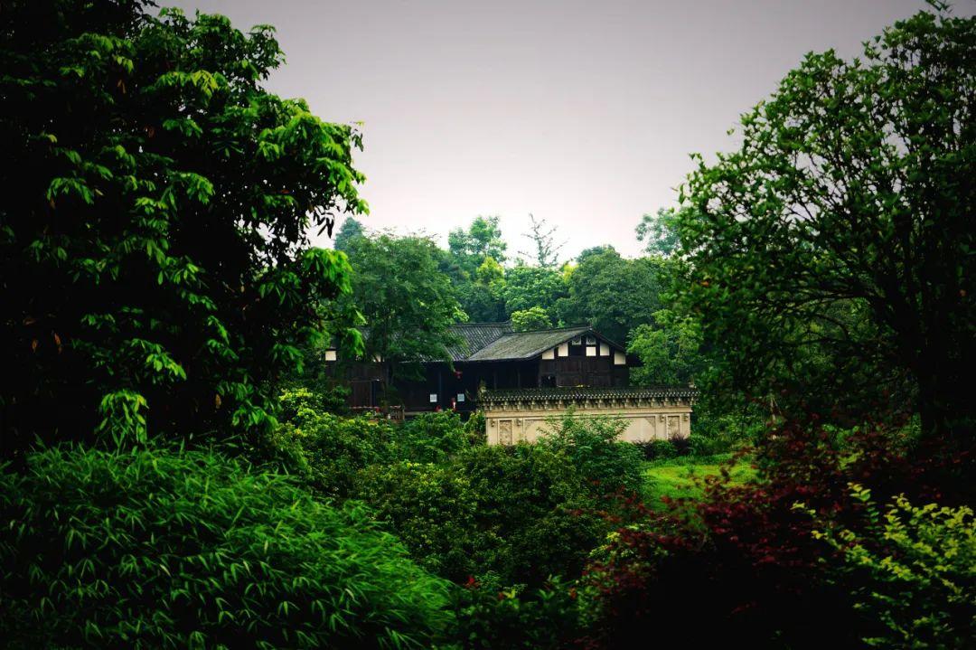 不是乌镇西塘!它才是最美的江南水乡,鲁迅都偏爱,还是国内最上头的城市