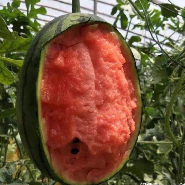 从国家地理标志看中国地域特产北京篇