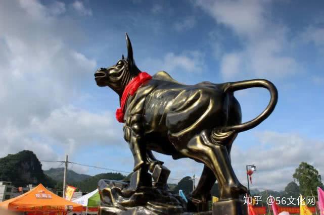 壮族丨牛魂节,来自于牛王的"恩宠"