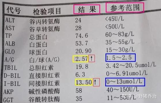 胆碱酯酶正常值范围图片