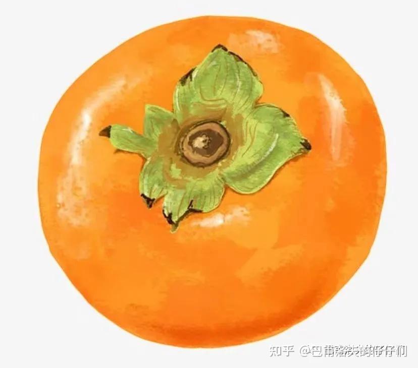 蔬菜水果的人生哲学