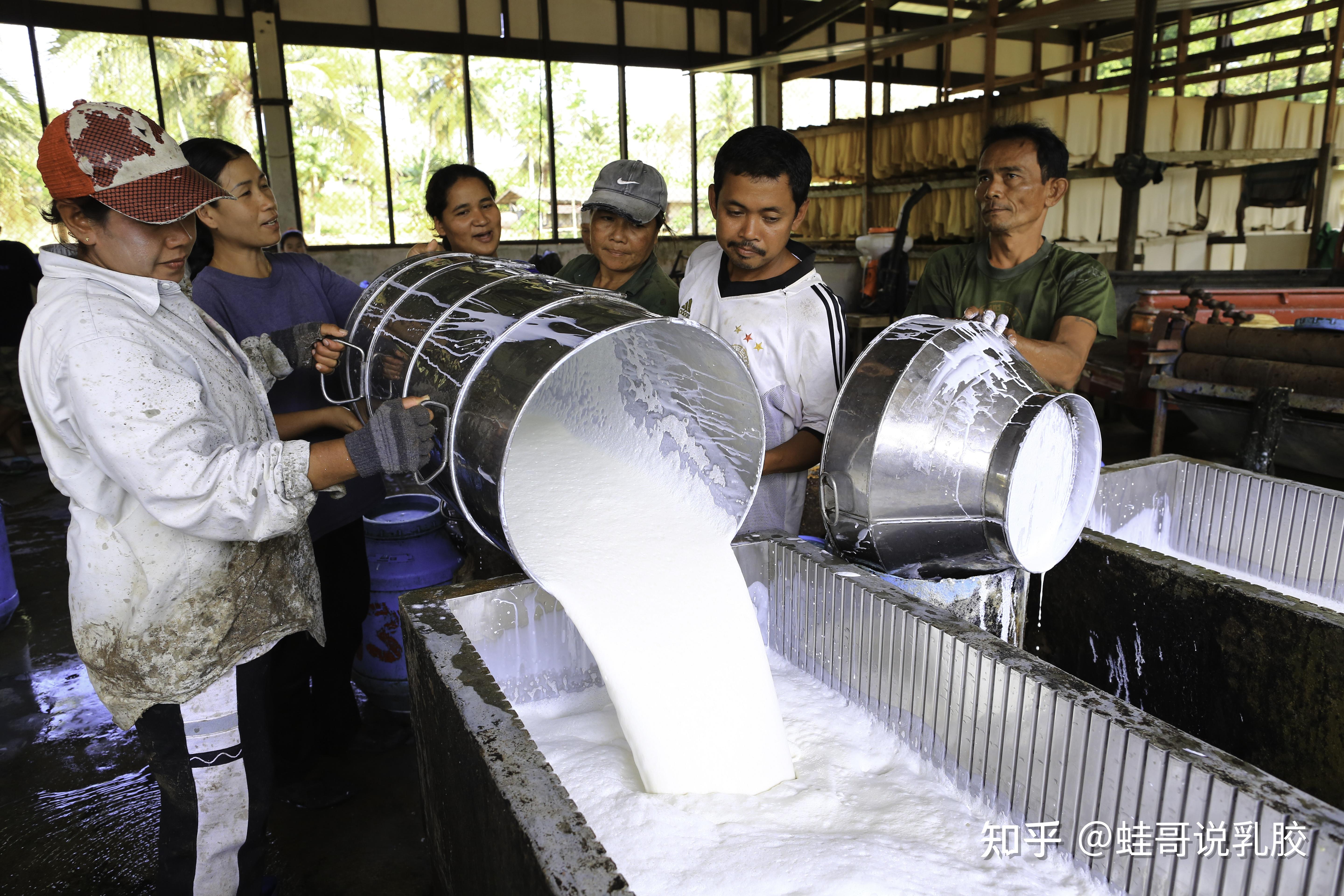 扒一扒泰国乳胶工厂生产制作内幕