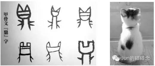 猫的甲骨文怎么写图片图片