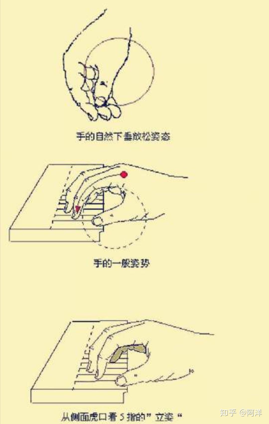 正确的弹琴指法示意图图片