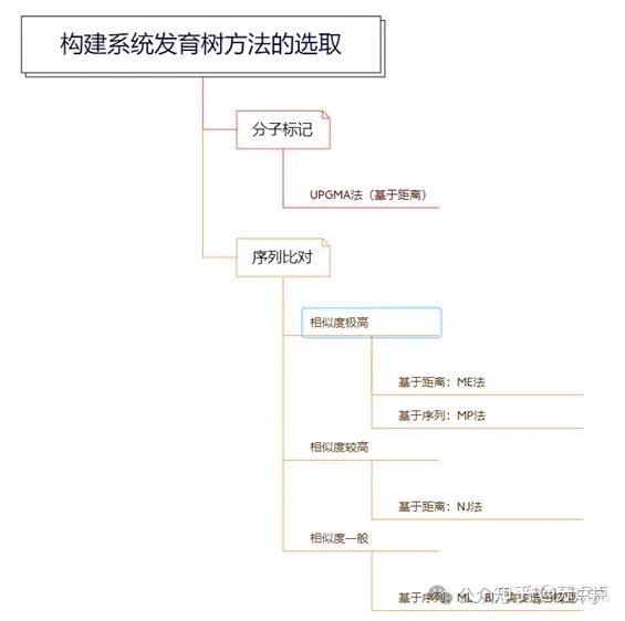 重磅教程！构建具有分歧时间的物种树（先导篇） - 知乎