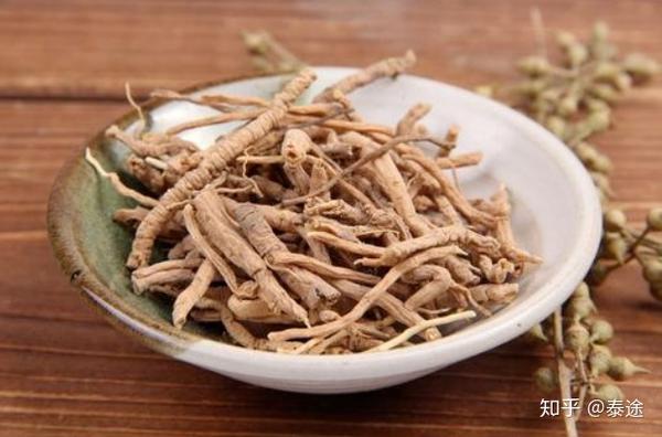 中药远志的功效与作用-远志使用注意事项 - 知乎