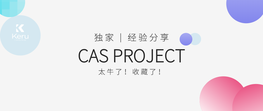 关于capstoneproject的独家秘籍