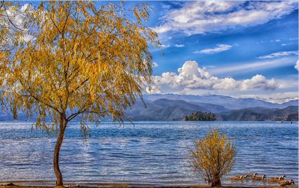 17张图带你解析红黑树的原理!保证你能看懂! 17张图带你解析红黑树的原理!保证你能看懂!