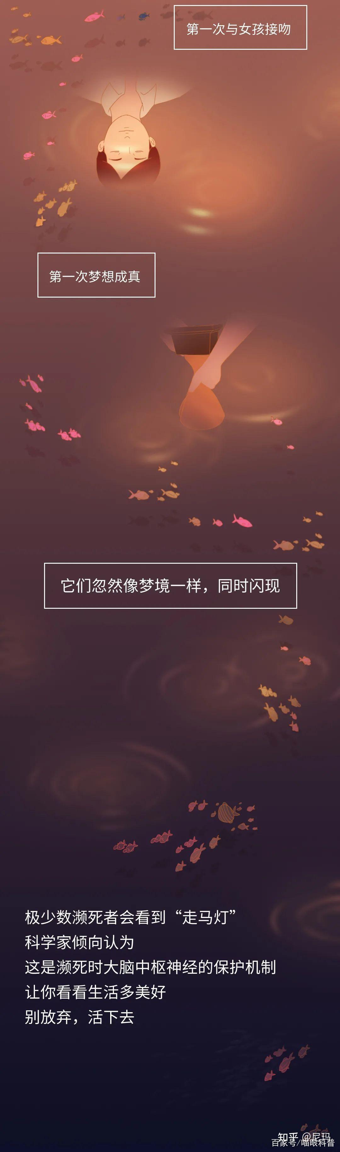 死亡前的30秒,人会“看见”什么?一组漫画科普,亲历者给出答案 - 知乎