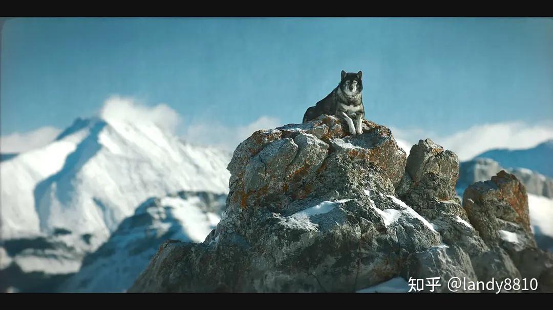 《多哥》剧照 - 知乎