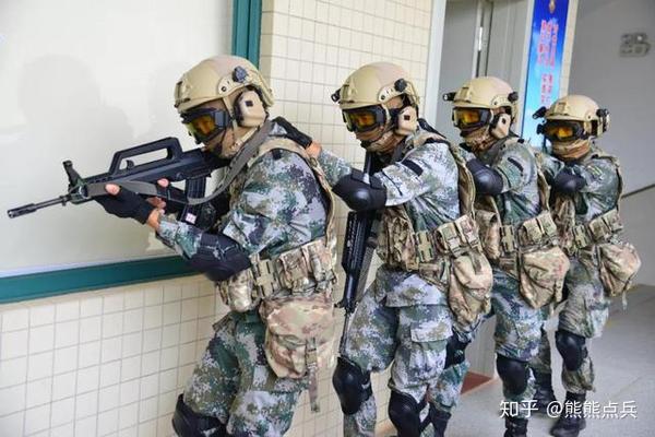 中国人民武装警察 武警21式战术背心 人民解放軍 - 個人装備