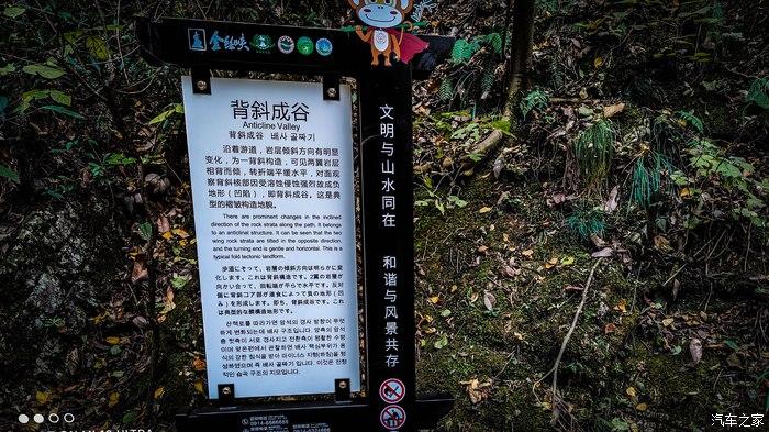 一人一唐,自驾洛南金丝峡,瞰五彩斑斓深秋神瀑峡沟