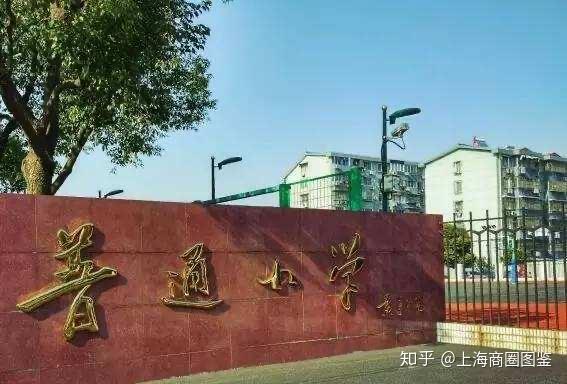 城中路小學(公辦),嘉定世界外國語小學(民辦),桃李園實驗學校(民辦)等