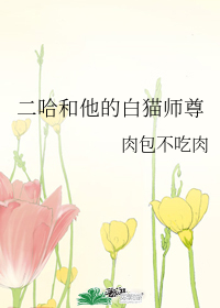 图标