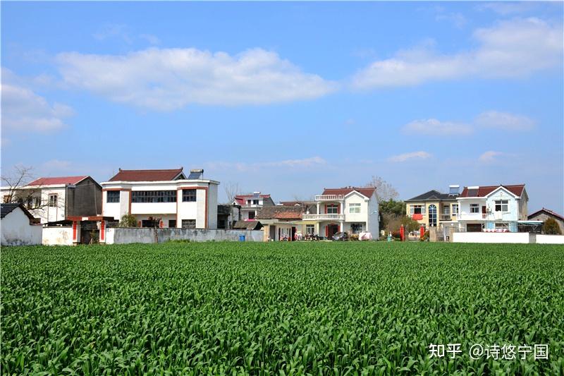 赵村的十里春风