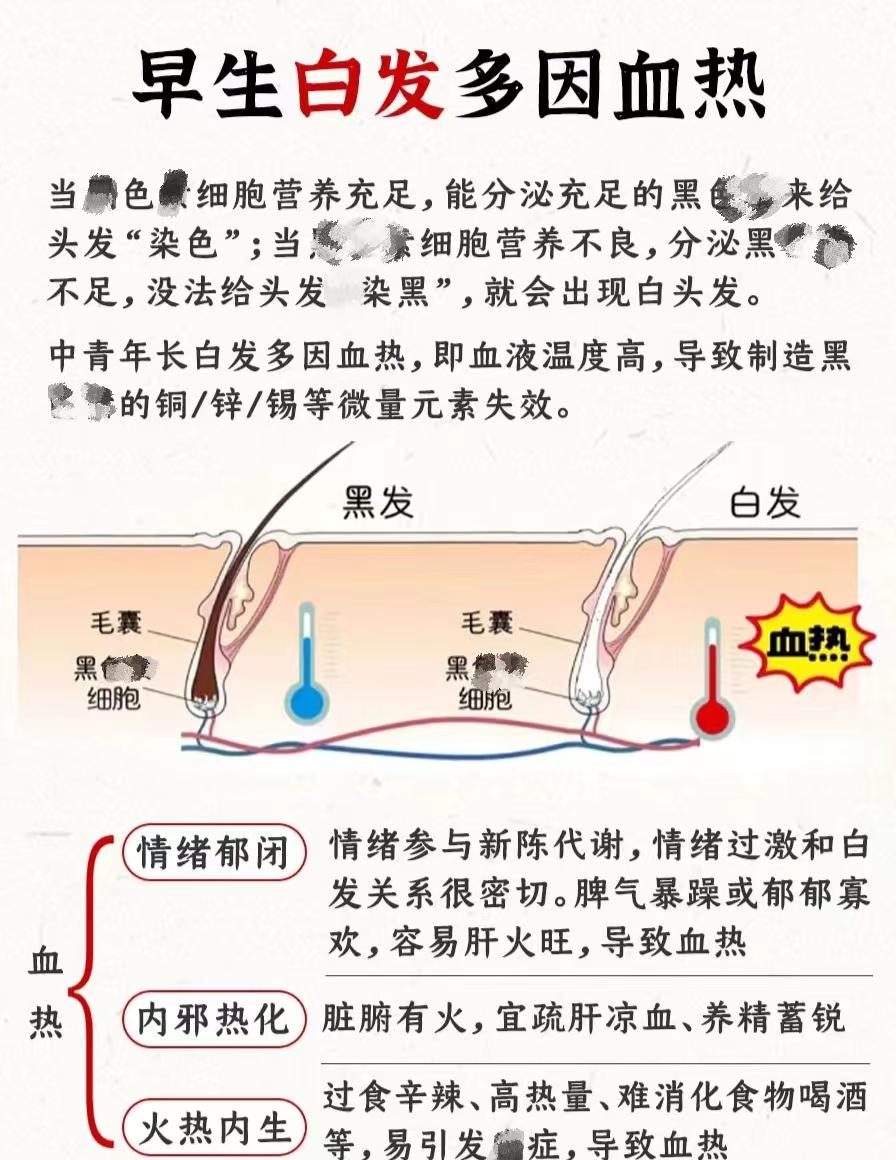 白头发越长越多,听说是血热?内行人都是怎么改善这种情况的? - 知乎
