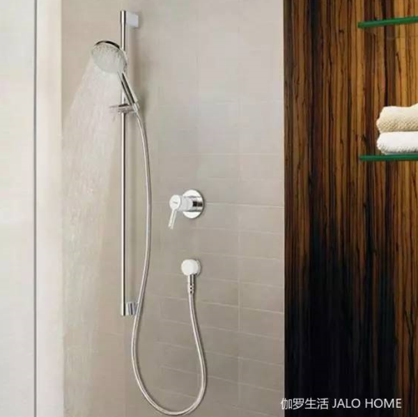 德国汉莎(hansa )无顶喷花洒