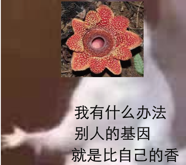大花草科寄生花的寄生故事 - 知乎