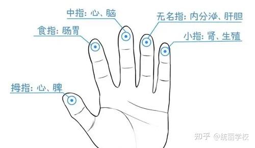 神奇的五指养生!沈阳美容学校和你说一说 - 知乎