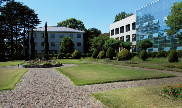 出愿tips丨千叶大学学部综合报考指南 知乎